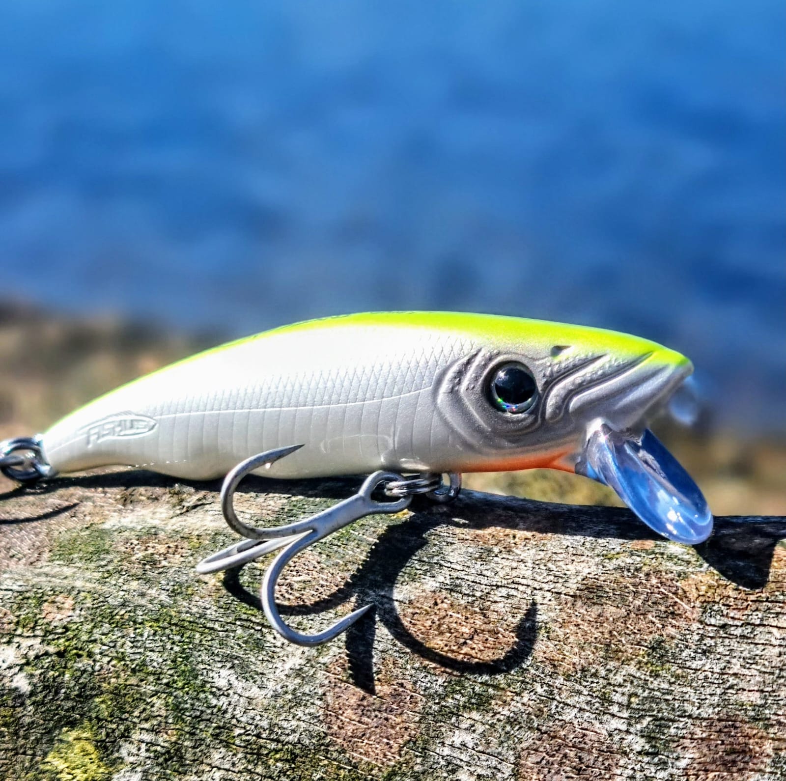 Deep Diver Lures Lures Edge